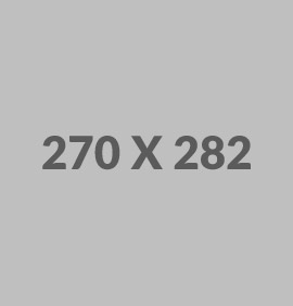 270x282